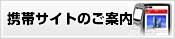 �g�уT�C�g�̂��ē�