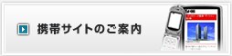 �g�уT�C�g�̂��ē�