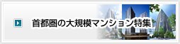 ��s���̑�K�̓}���V�������W