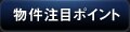 �������ڃ|�C���g
