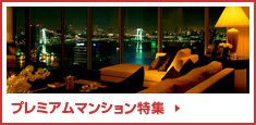 �v���~�A���}���V�������W
