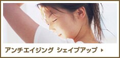 �A���`�G�C�W���O �V�F�C�v�A�b�v