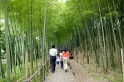 第7回