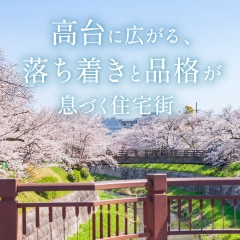 �V�e�B�K�[�f����x���������u