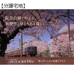 �V�e�B�K�[�f�����ɔV��