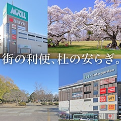 �V�e�B�K�[�f��������