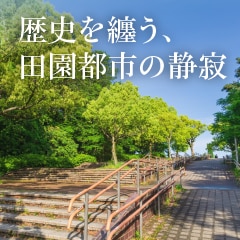 �V�e�B�K�[�f���痢�R