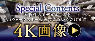 Special Contents 4K摜