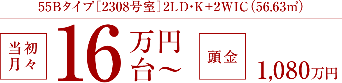 55B�^�C�v�m2308�����n2LD�EK�{2WIC�i56.63�u�j