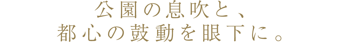 �����̑����ƁA�s�S�̌ۓ����ቺ�ɁB