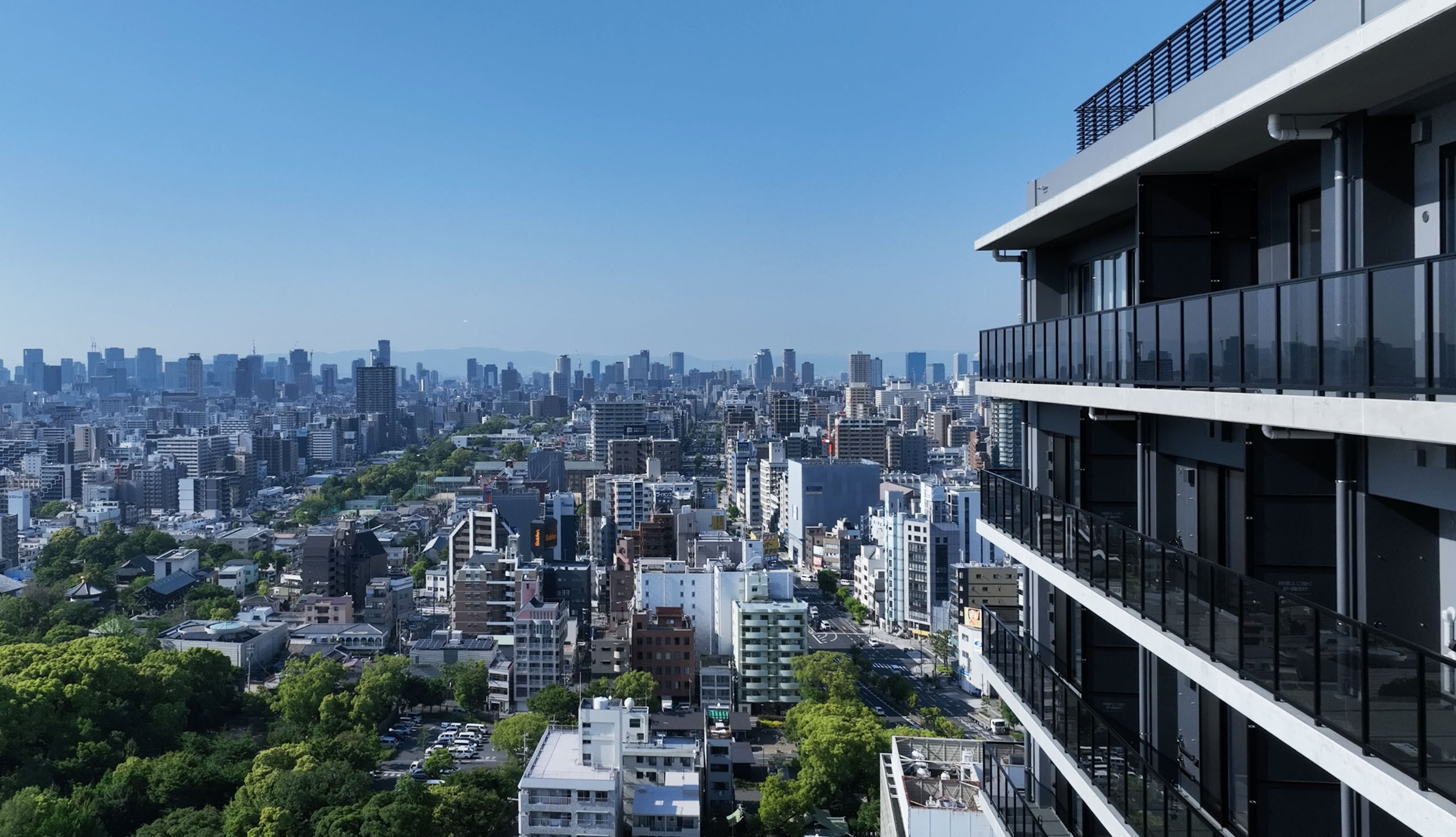 �V�����������̂��ށi2023�N5���B�e�j