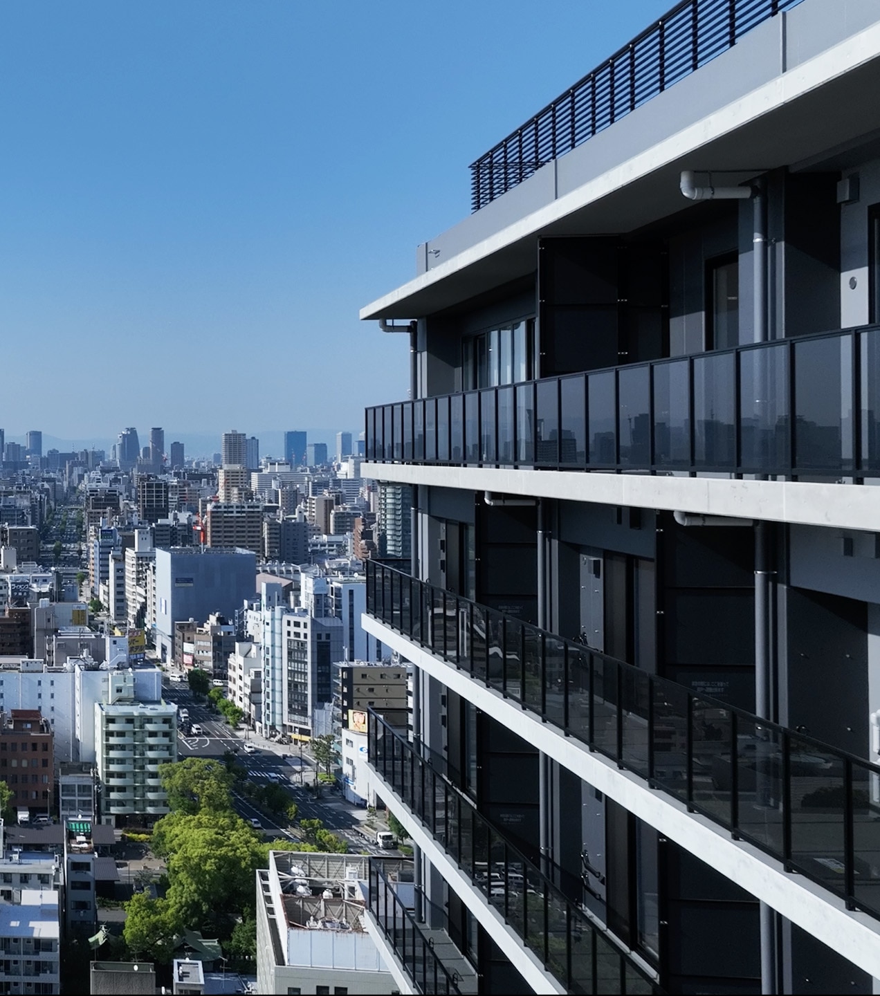 �V�����������̂��ށi2023�N5���B�e�j