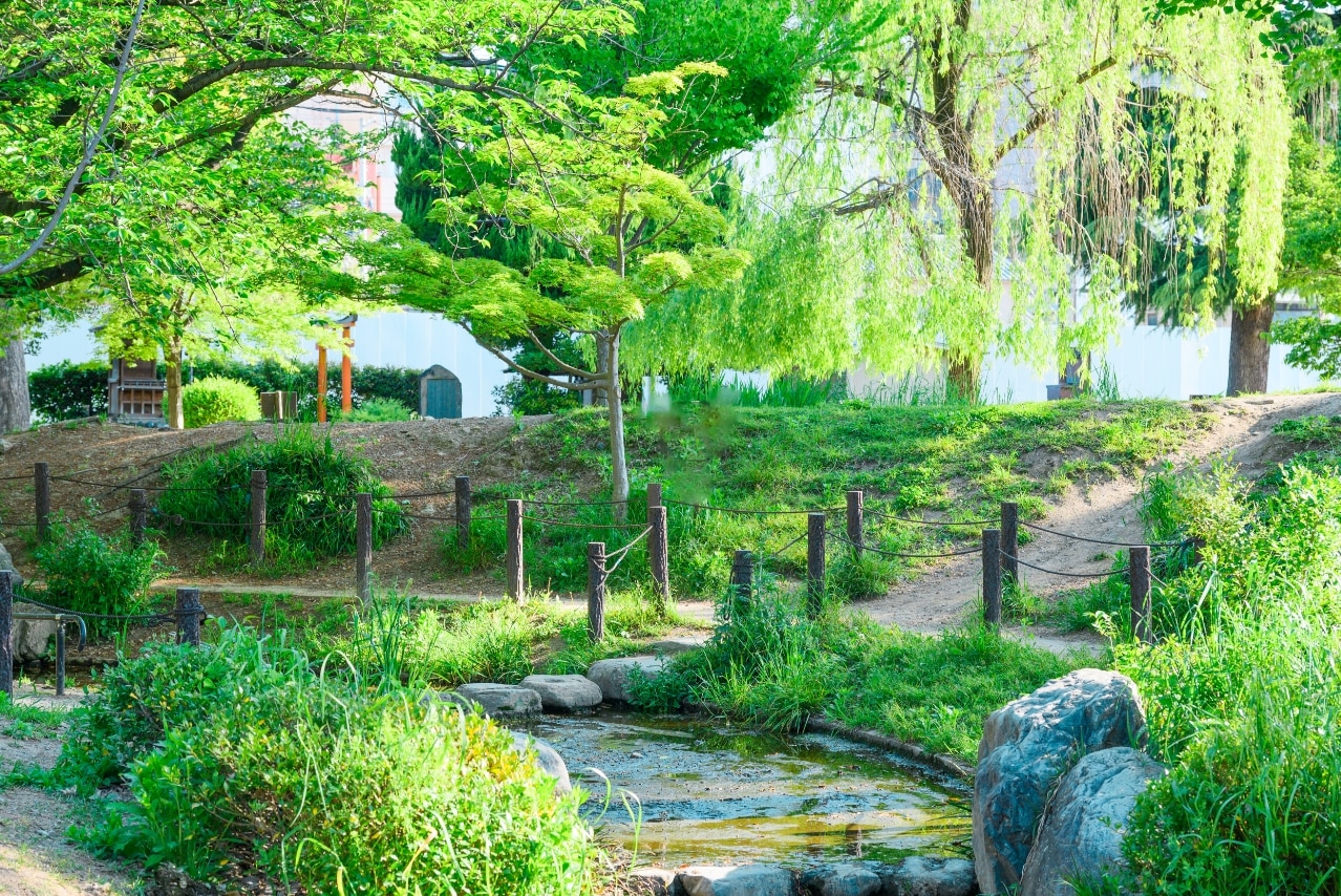 ���y�E���R����