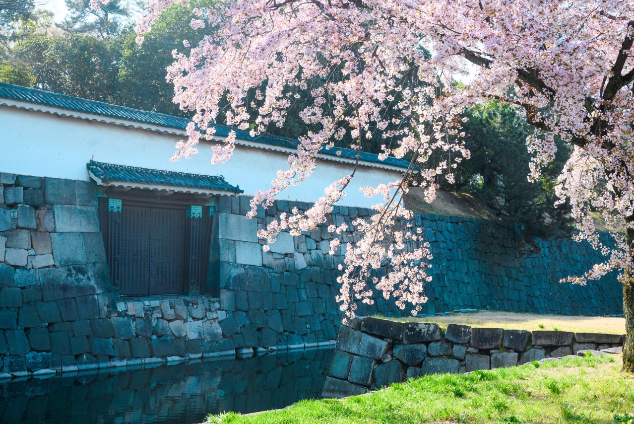 ��������