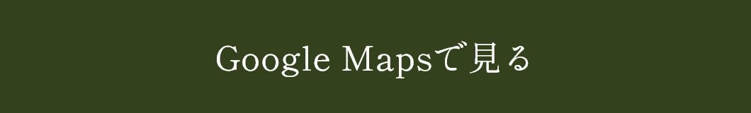 Google Maps�Ō���