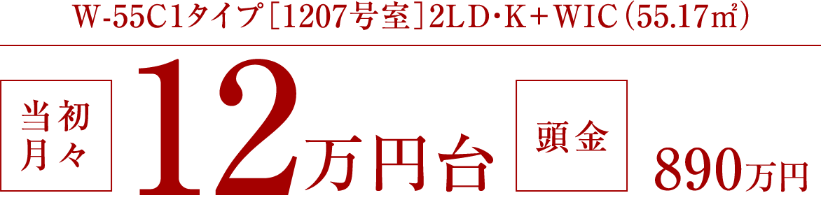 W-55C1�^�C�v�m1207�����n2LD�EK+WIC�i55.17�u�j