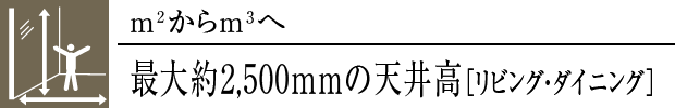 ő2,500mm̓V䍂mrOE_CjOn