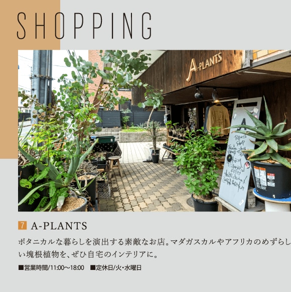shopping