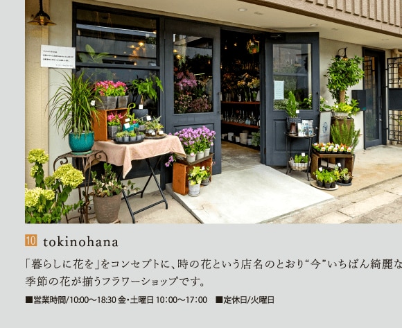 tokinohana
