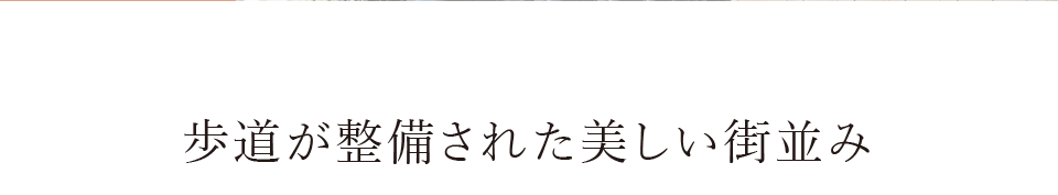 ꂽX