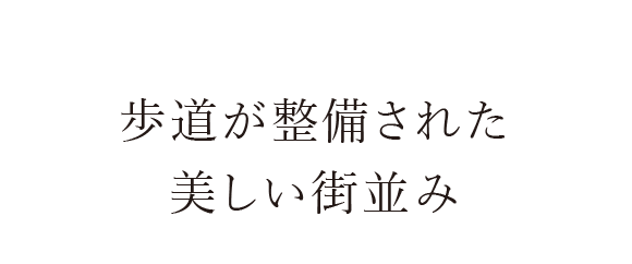 ꂽX