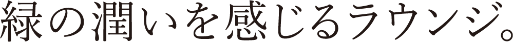 ΂̏郉EWB