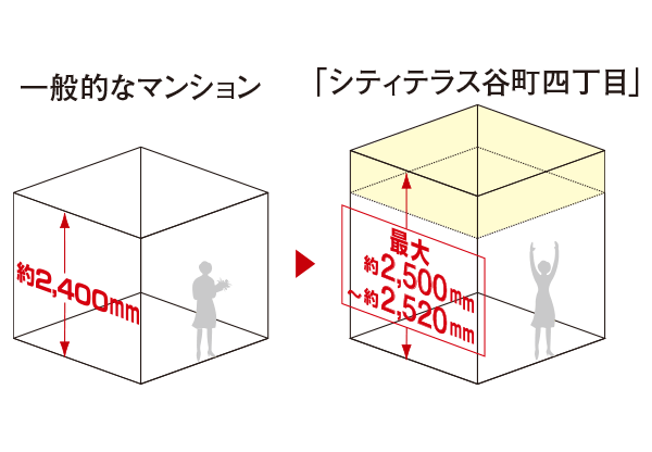 ő2,500o`2,520o̓V䍂irOE_CjOAmj