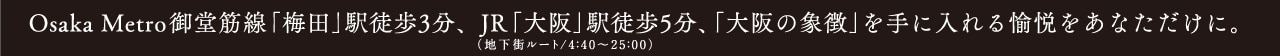 Osaka Metro䓰ؐu~cvwk3AJRuvwk5inX[g/4F40`25F00jAȕےvɓxȂɁB