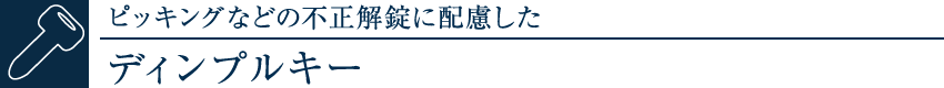 sbLOȂǂ̕sɔzfBvL[