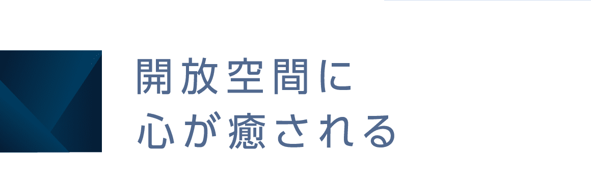 JԂɐS