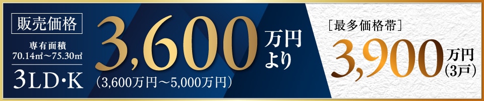 �̔����i3,600���~���