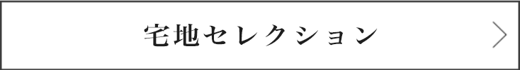 nڸ