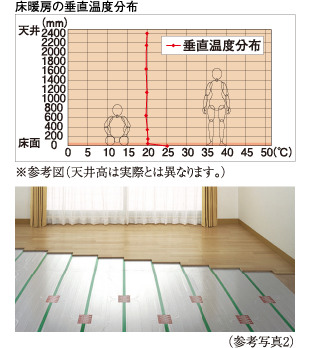 参考写真2