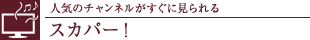 lC̃`lɌXJp[I