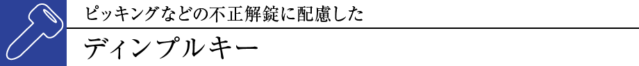 sbLOȂǂ̕sɔzfBvL[