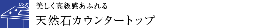 ӂVR΃JE^[gbv