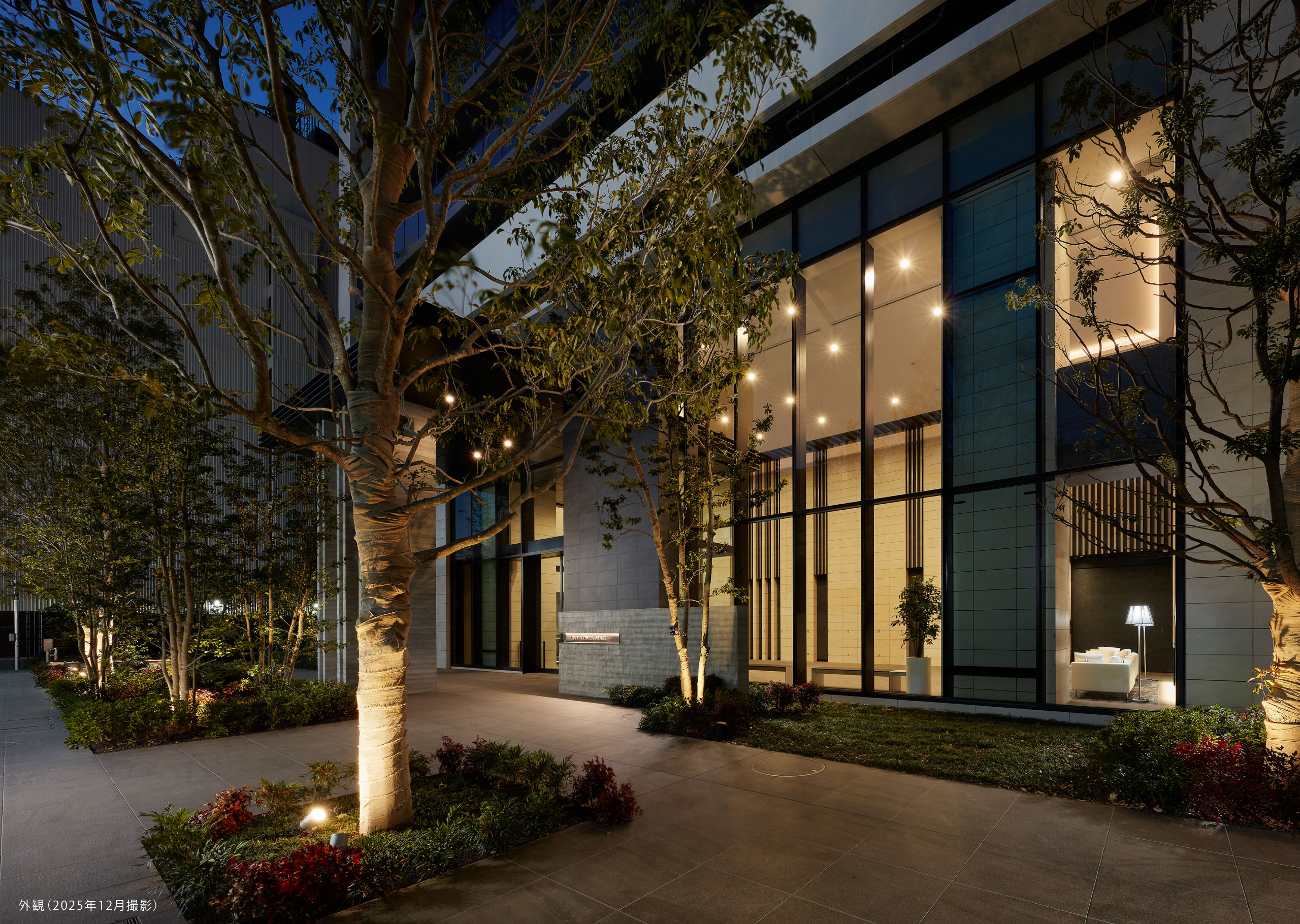 �O�ρi2025�N12���B�e�j