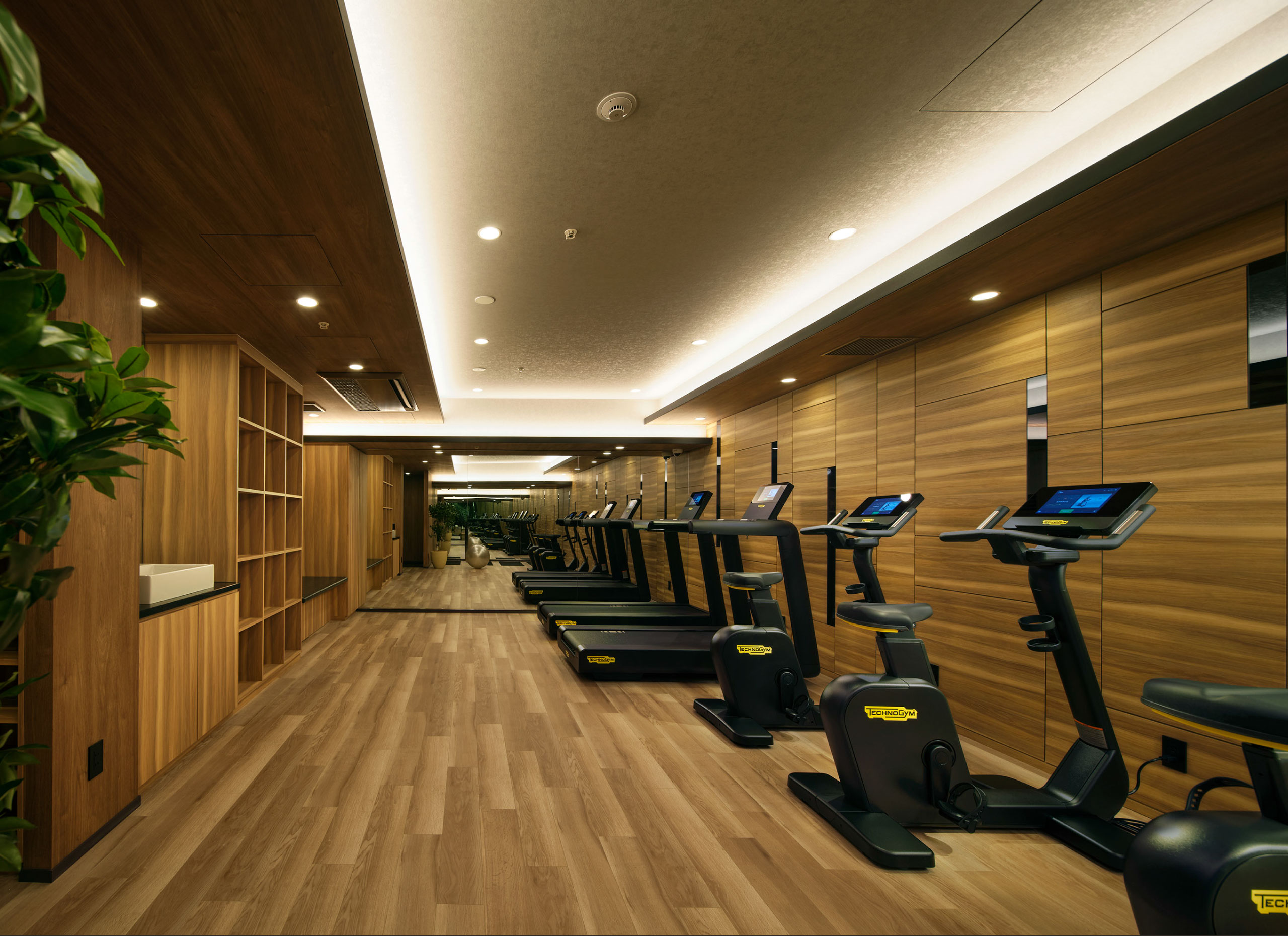 �t�B�b�g�l�X���[���i2025�N12���B�e�j