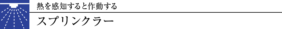 Mmƍ쓮XvN[