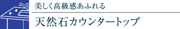 ӂVR΃JE^[gbv