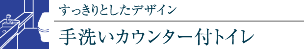 ƂfUC􂢃JE^[tgC