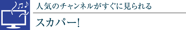 lC̃`lɌXJp[I