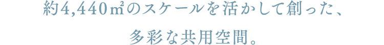4,440ũXP[đnAʂȋpԁB