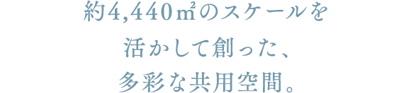 4,440ũXP[đnAʂȋpԁB