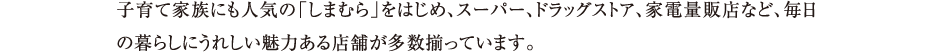qĉƑɂlĆu܂ނv͂߁AX[p[AhbOXgAAƓdʔ̓XȂǁA̕炵ɂꂵ͂X܂Ă܂B