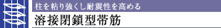 S苭ϐk߂nڕ^ы