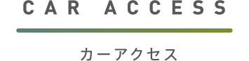 CAR ACCESS J[ANZX