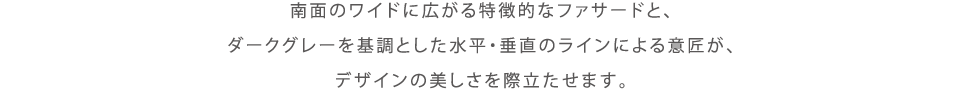 ʂ̃ChɍLIȃt@T[hƁA_[NO[ƂẼCɂӏAfUC̔ۗ܂B