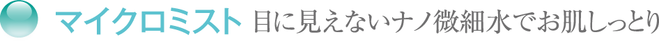 }CN~Xg ڂɌȂimאłƂ