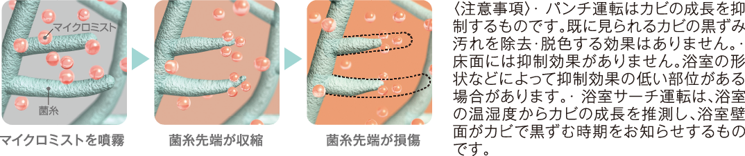 Jr}@\ TO}